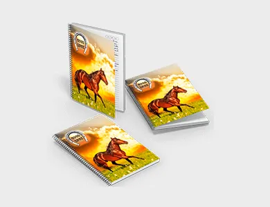 Caderno com Espiral Capa Maleável 20x27,5 96 folhas 4x0 Couchê 300g Laminação Fosca - 4x0
